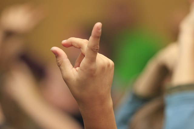 Image for ASL